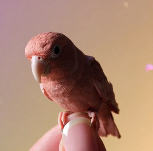 Todo lo que necesitas saber sobre el cuidado de pájaros: