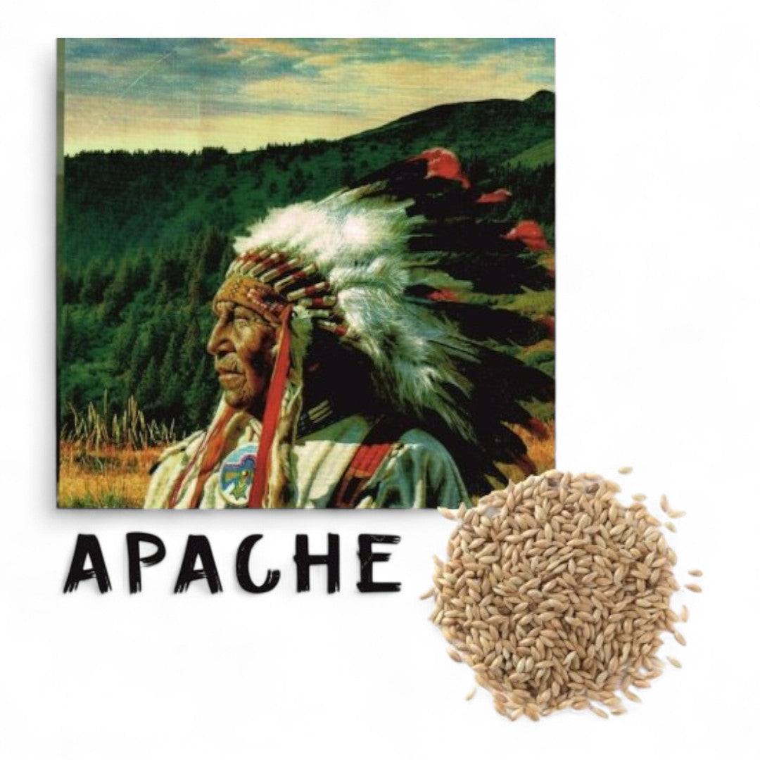 Alpiste Canadá Apache Fauna Mix (1 kg, 5 kg, 25 kg)