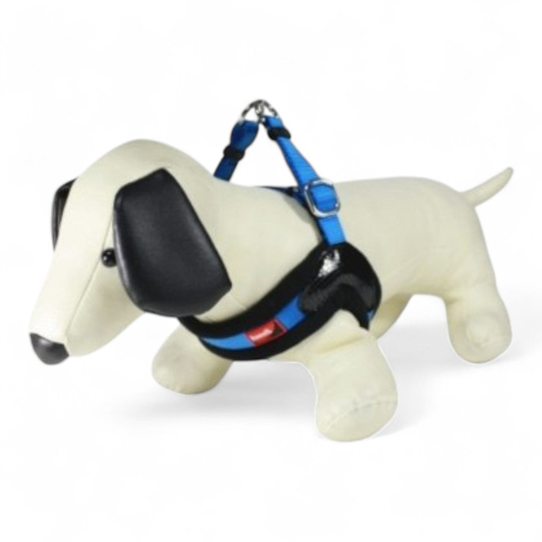 Arnés Kumfi Dog Vest Nylon (Pequeño y Extra Pequeño, Azul, Fucsia, Verde)