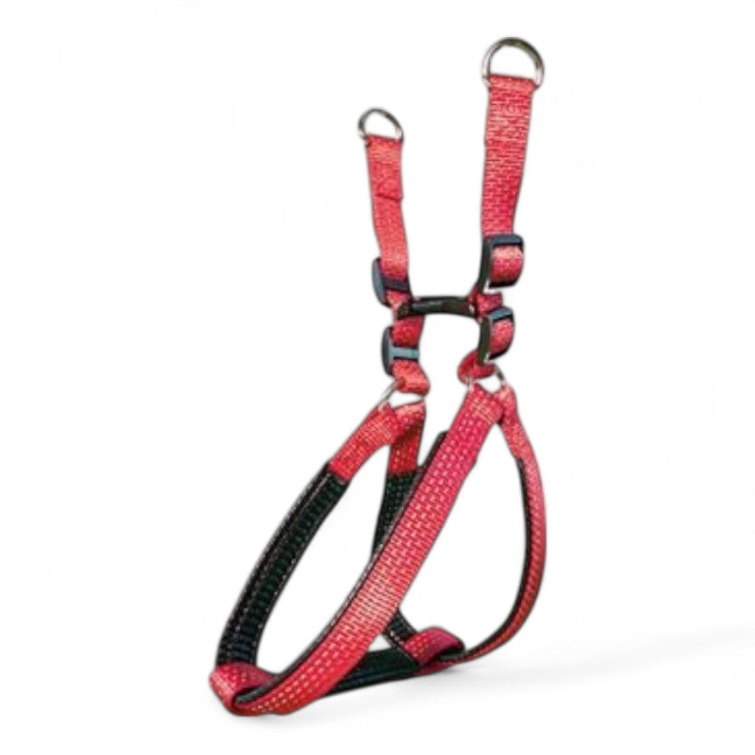 Arnés Nylon Liso Arquivet para Perros