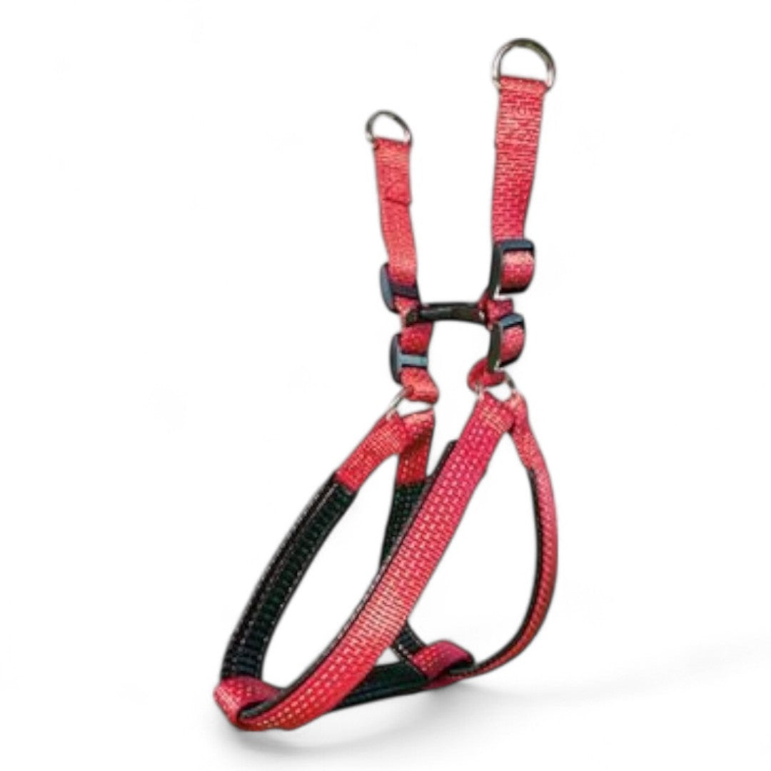 Arnés Nylon Liso Arquivet para Perros