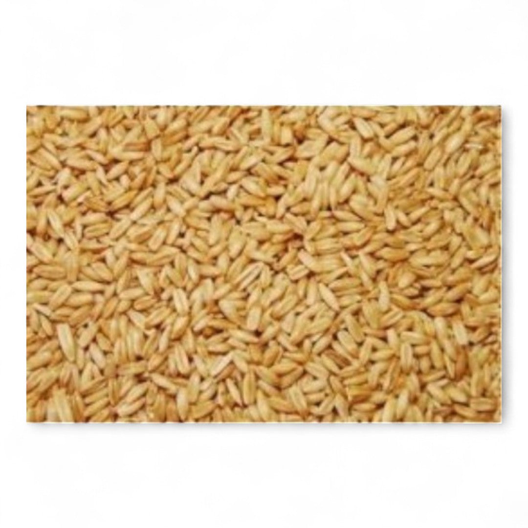 Avena Pelada Vinci para Pájaros