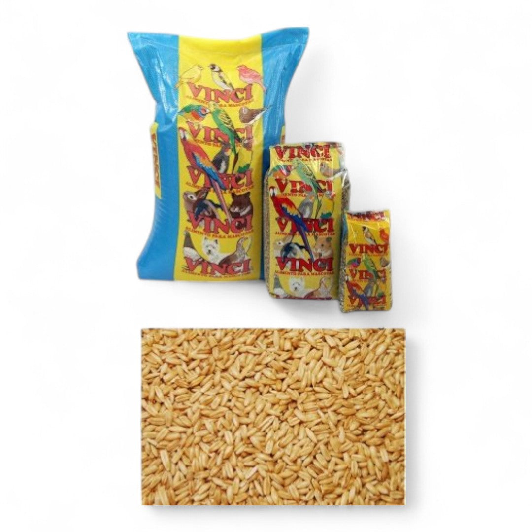 Avena Pelada Vinci para Pájaros
