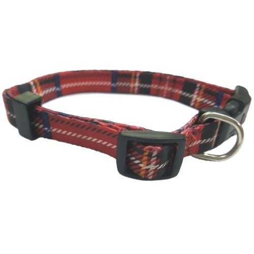 Collar para Perro Escoces