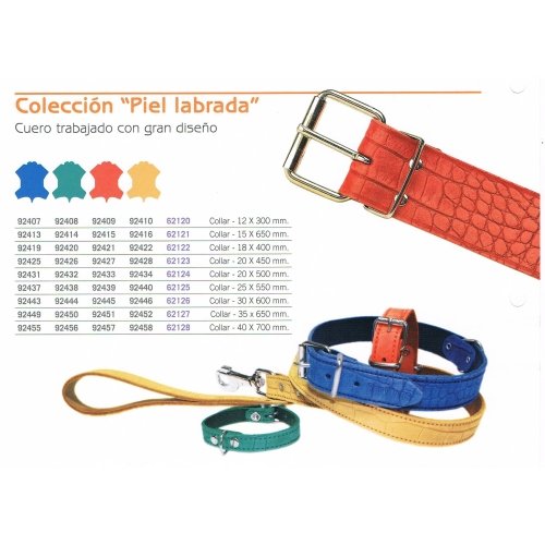 Collar Piel Labrada para Perros Pequeños