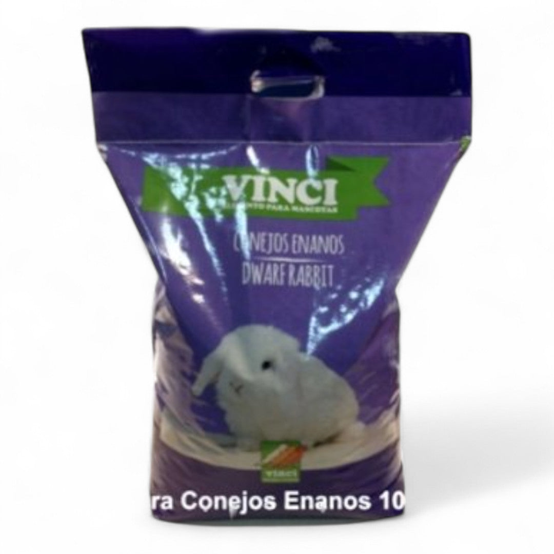 Conejo Enano Vinci