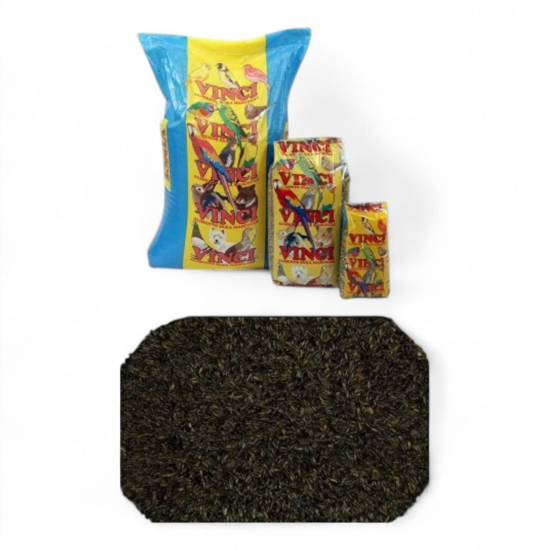 Negrillo Vinci para Canarios, Jilgueros y Aves Granívoras