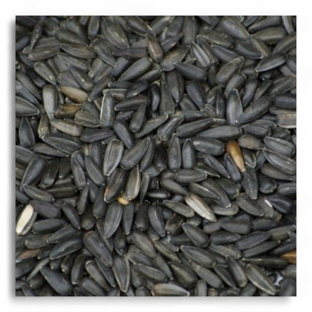 Pipas Negras Faunamix para Pájaros