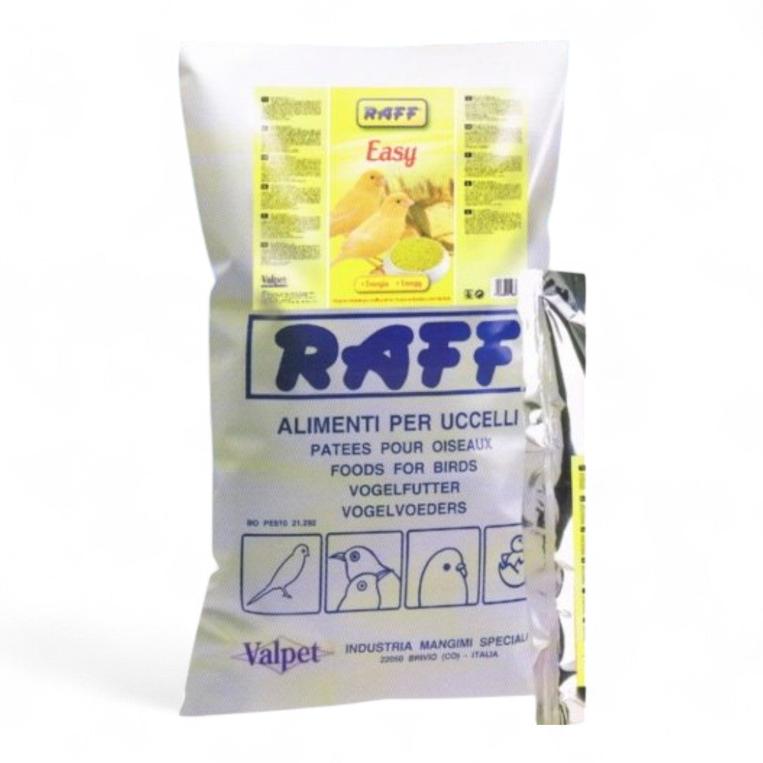 Raff Easy Amarilla y Raff Holland Rosso Pastas de Cría