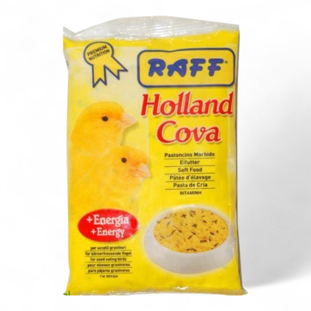 Raff Holland Cova Pasta de Cría