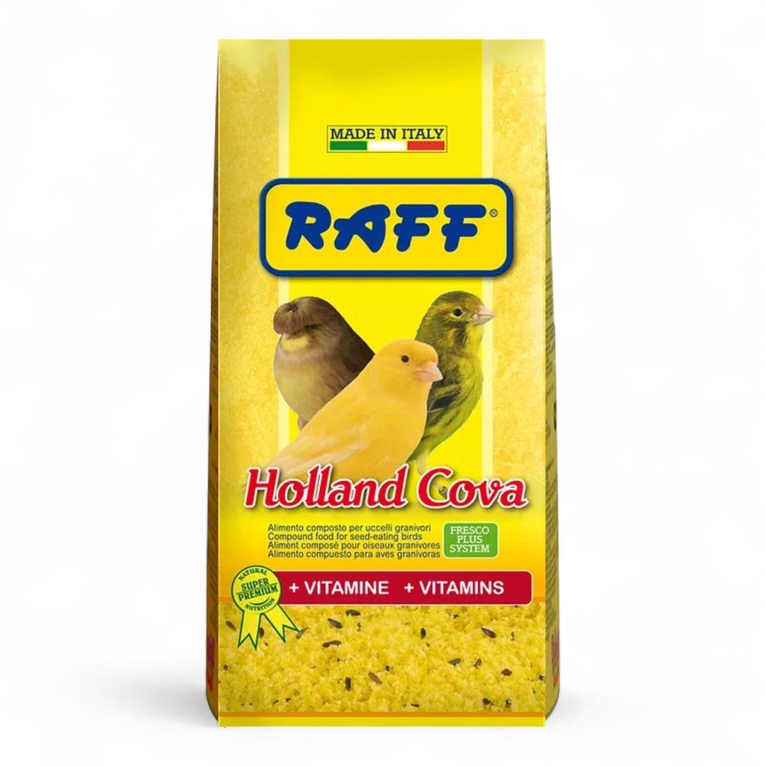Raff Holland Cova Pasta de Cría