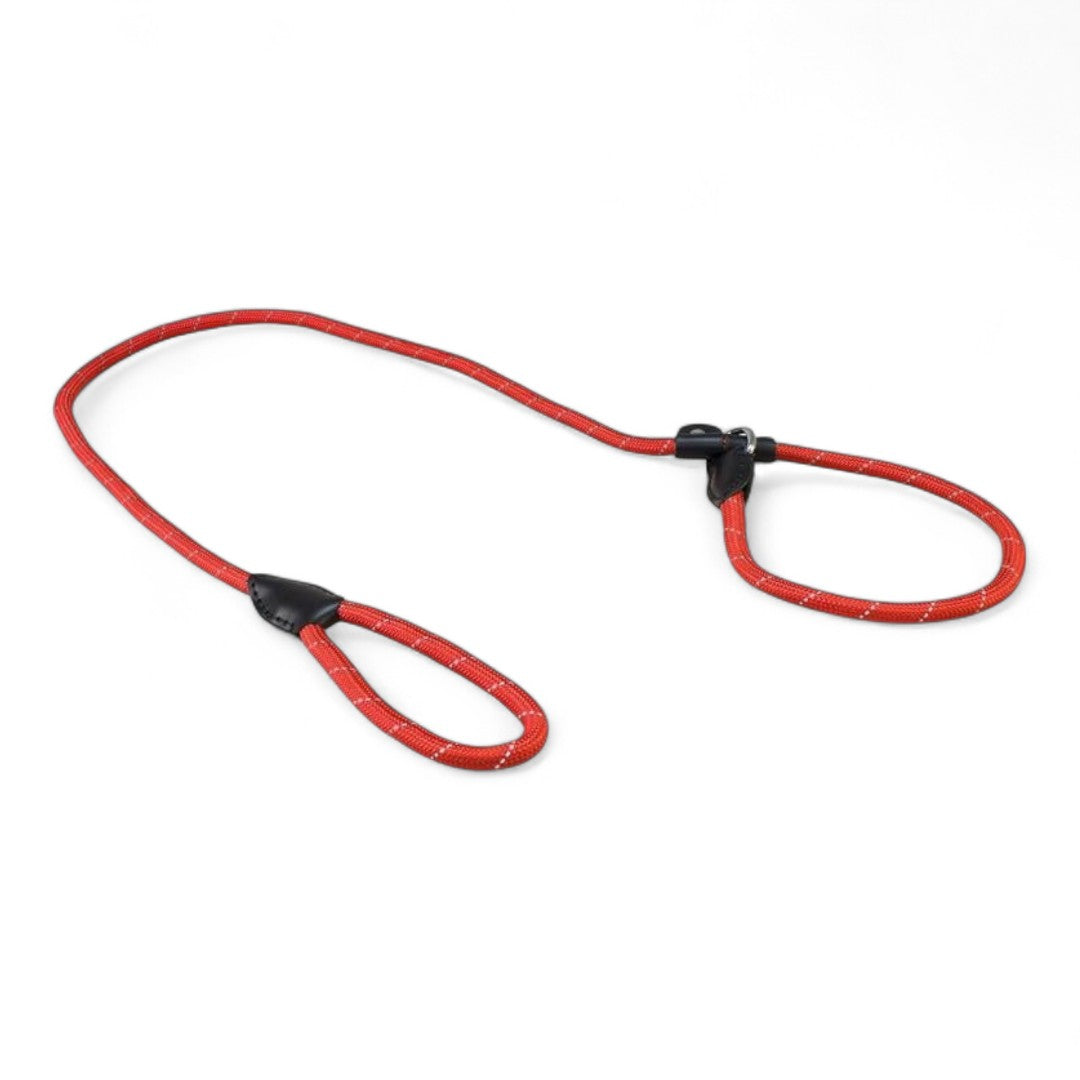 Tirador y Collar Nylon Reflectante Arquivet para Perros