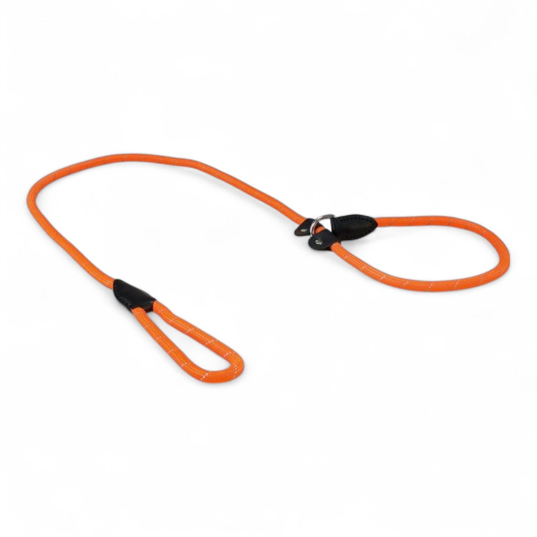 Tirador y Collar Nylon Reflectante Arquivet para Perros