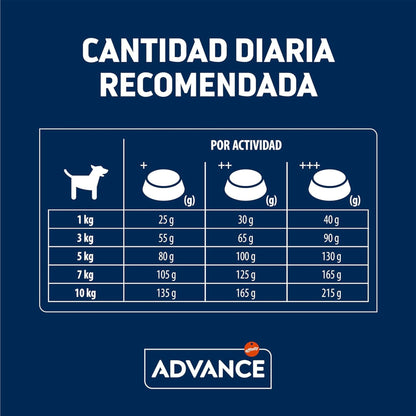 Advance Mini Adult Pollo y Arroz para Perros