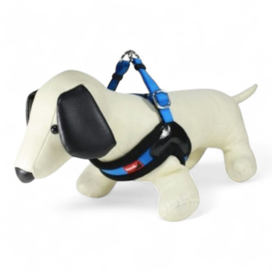 Arnés Kumfi Dog Vest Nylon (Pequeño y Extra Pequeño, Azul, Fucsia, Verde)