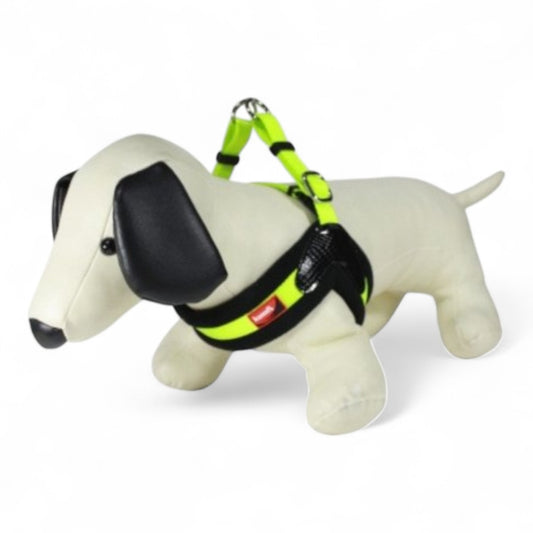 Arnés Kumfi Dog Vest Nylon (Pequeño y Extra Pequeño, Azul, Fucsia, Verde)