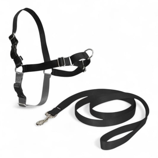 Arnés Easy Walk para Perros