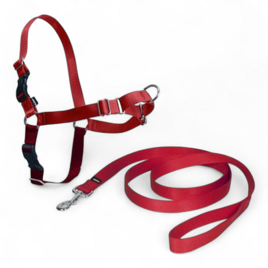Arnés Easy Walk para Perros