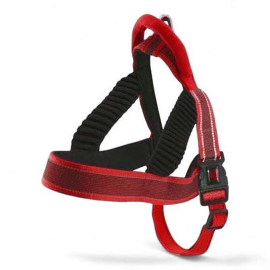 Nayeco Arnés X-TRM Pro 38 mm x 90-100 cm (Lima y Rojo)