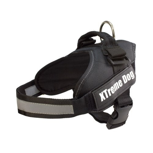 Arnes Xtreme Dog