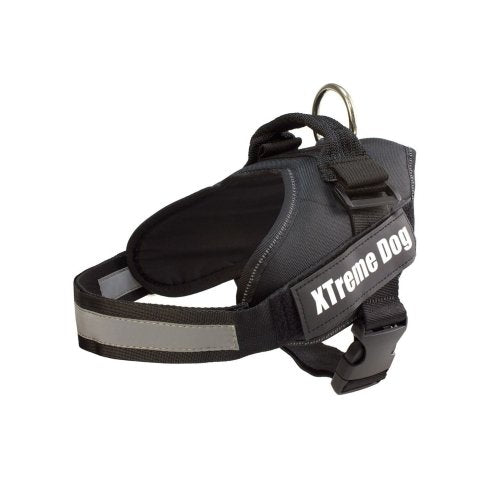 Arnes Xtreme Dog