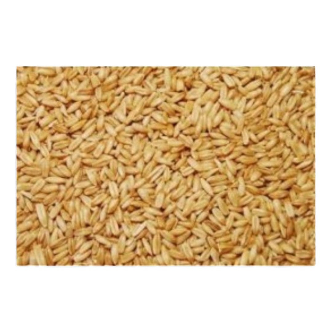 Avena Pelada Vinci para Pájaros