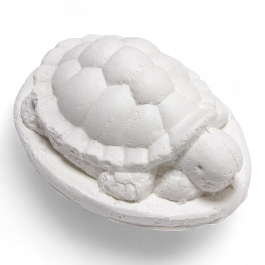 Calcio Tortugas 30gr.blister Arquivet