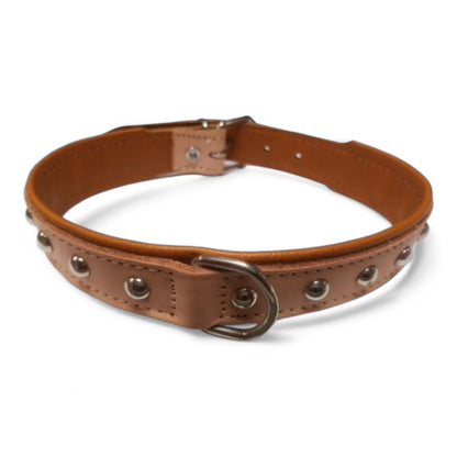 Collar Cuero con Adornos Esféricos San Dimas (20x450 mm Negro/Rojo, 25x550 mm Tostado/Natural)