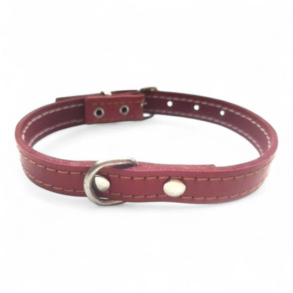 Collar Cuero Modelo Laura 5.3 Mabel para Perros