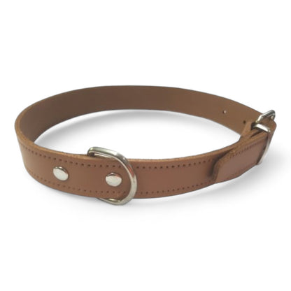 Collar Cuero Liso para Perros VMD