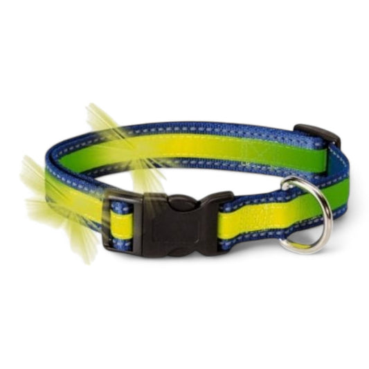 Camon Vision D715 Collar Fosforescente y Reflectante para Perros