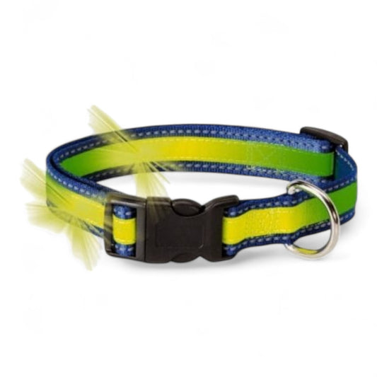 Camon Vision D715 Collar Fosforescente y Reflectante para Perros