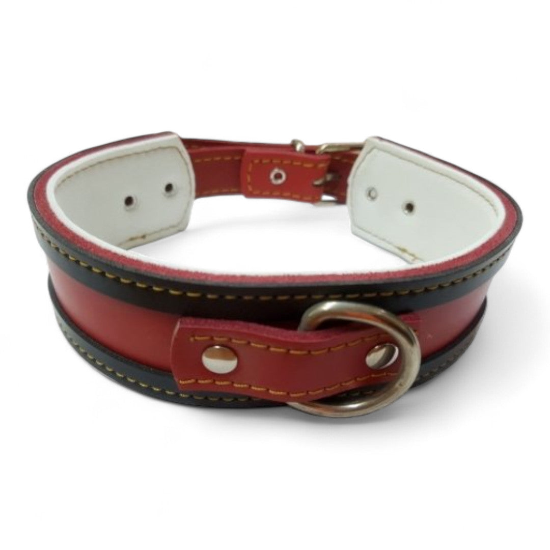 Collar Cuero para Galgos
