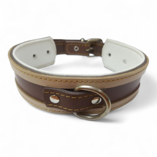 Collar Cuero para Galgos