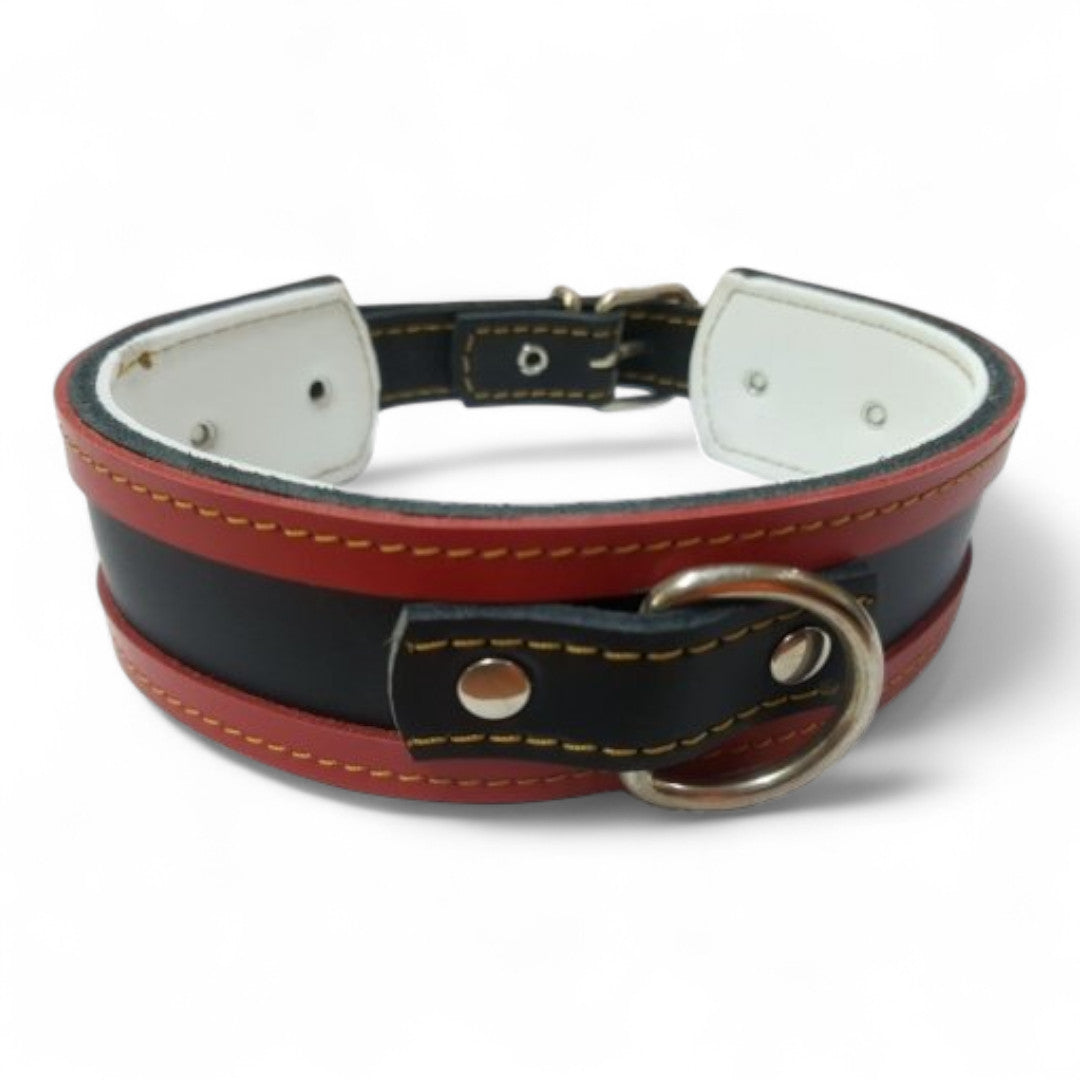 Collar Cuero para Galgos