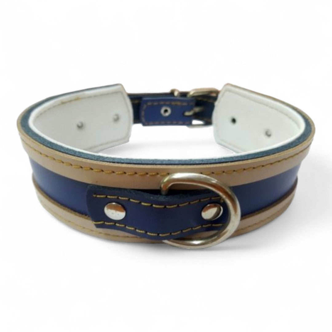 Collar Cuero para Galgos