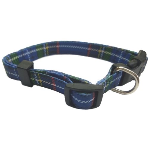 Collar para Perro Escoces
