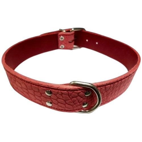 San Dimas Collar de Piel Labrado para Perros Grandes y Gigantes (Tostado, Verde, Azul, Rojo)