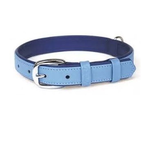 San Dimas Collar Summertime Cuero para Perros (Nº1 Menta, Nº2 Azul, Menta, Naranja)