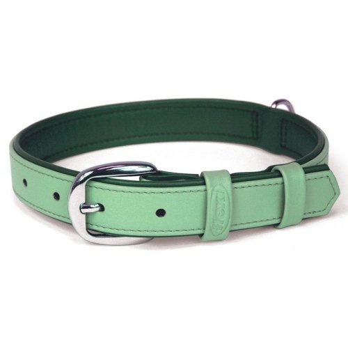 San Dimas Collar Summertime Cuero para Perros (Nº1 Menta, Nº2 Azul, Menta, Naranja)