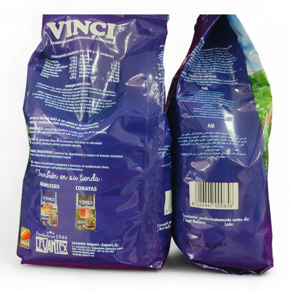 Conejo Enano Vinci
