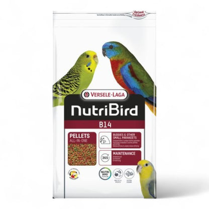 Versele Laga NutriBird B14 800 g, 3 kg Pienso para Periquitos, Agapornis y Psitácidos