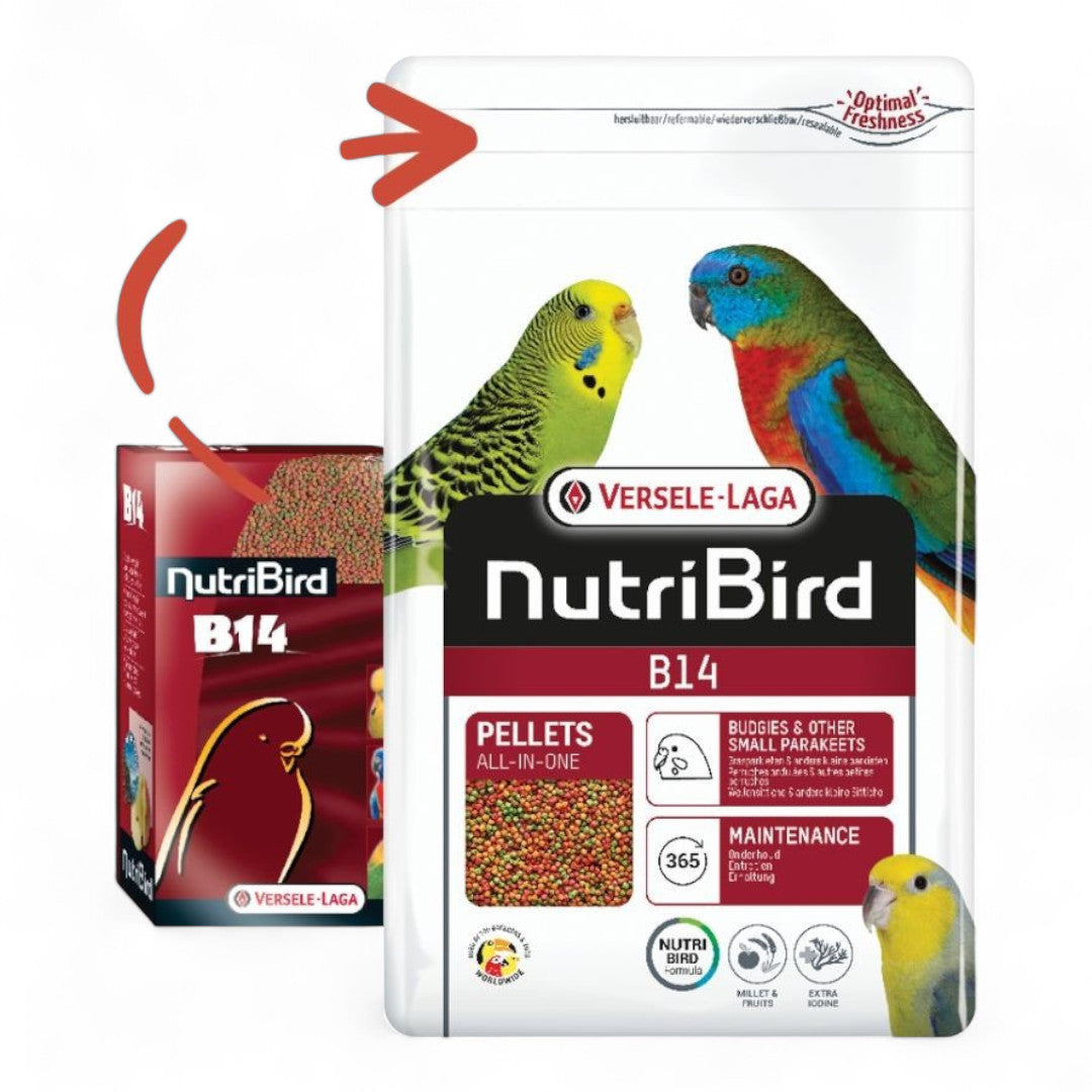 Versele Laga NutriBird B14 800 g, 3 kg Pienso para Periquitos, Agapornis y Psitácidos