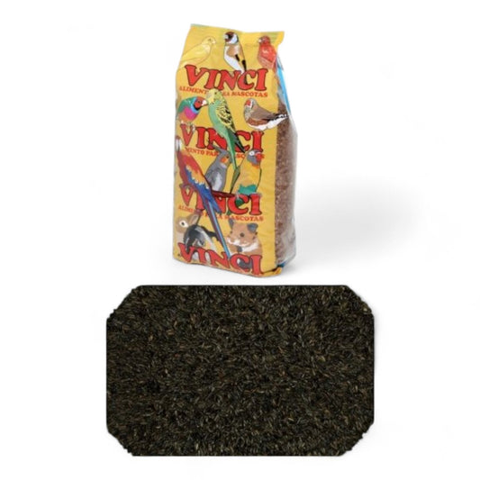 Negrillo Vinci para Canarios, Jilgueros y Aves Granívoras