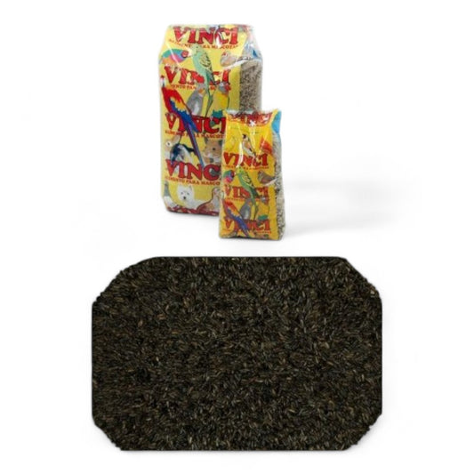Negrillo Vinci para Canarios, Jilgueros y Aves Granívoras