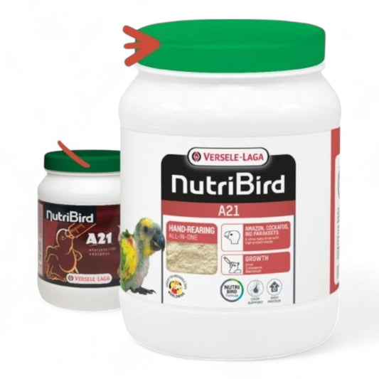 NutriBird A21 Versele-Laga para Cría a Mano de Pájaros