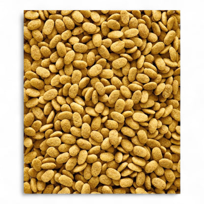 Nutribird P15 Tropical 1 Kg. 3 Kg y 10 Kg - Versele-laga