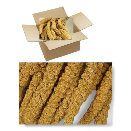 Panizo en Espigas Prodac 500 g y 2,5 kg