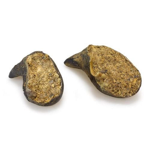Pezuña de Búfalo Rellena de Higado.envase Individual