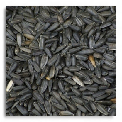 Pipas Negras Faunamix para Pájaros